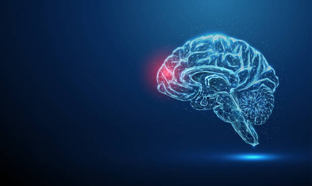 A Seizure at 65 And the Brain Abscess Nobody Saw Coming